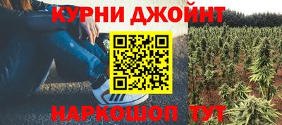 винт Можга