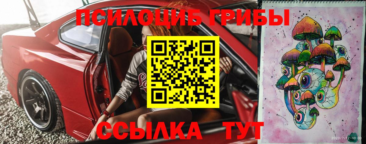 Галлюциногенные грибы Psilocybine cubensis Воронеж