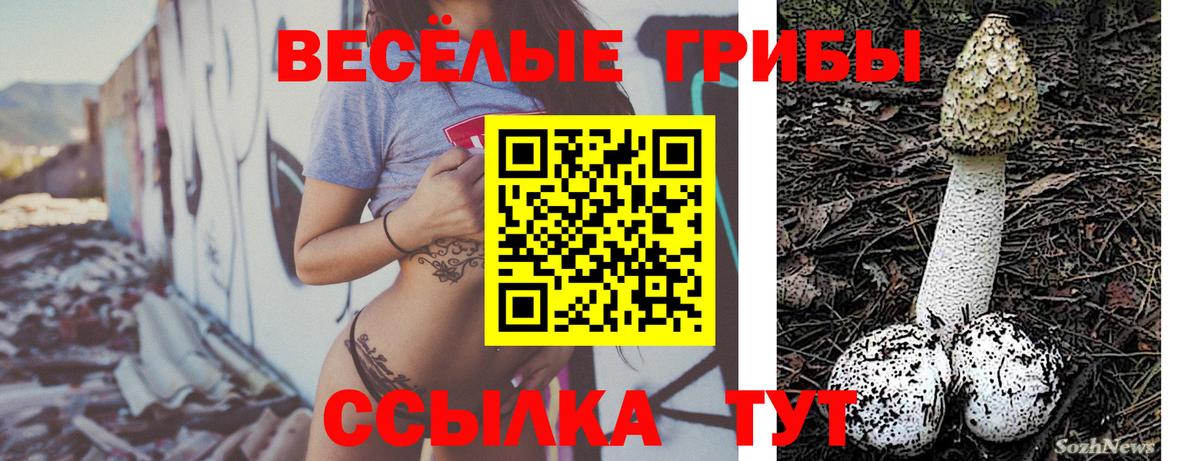 Воронеж  Псилоцибиновые грибы Cubensis  Вход с VPN 